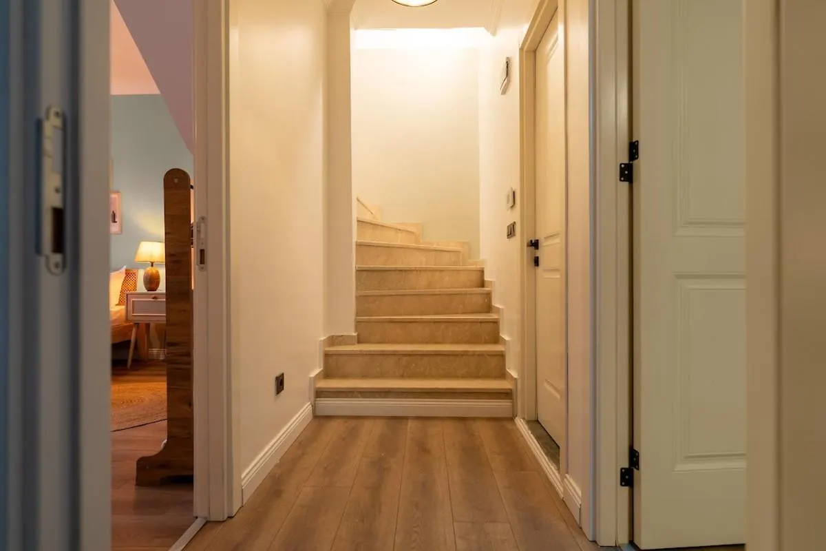 Luxury Scandinavian Design 2Br Duplex Near Tomtom Istanbul Apartment