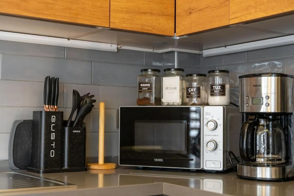 Apartment Luxury Scandinavian Design 2Br Duplex Near Tomtom Istanbul