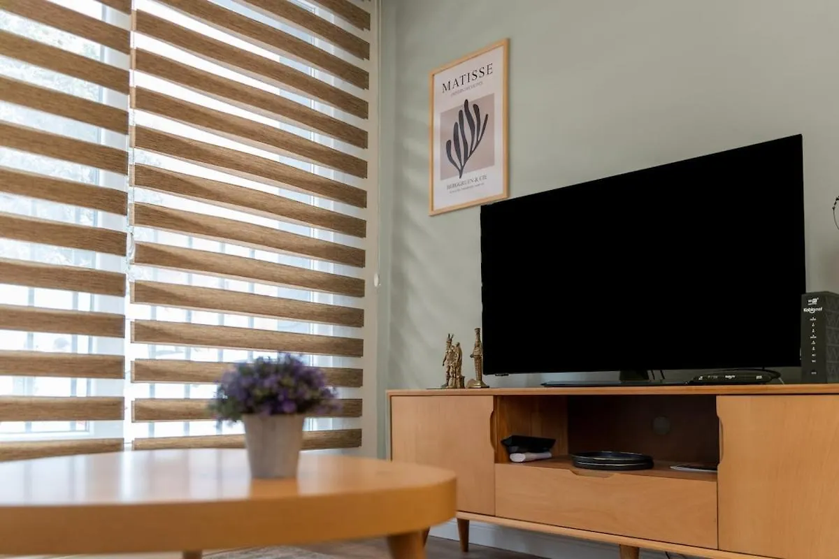 Luxury Scandinavian Design 2Br Duplex Near Tomtom Istambul 0*,  Turquia